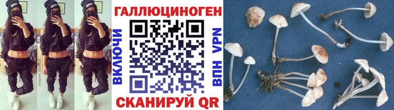 Купить закладки  Опочка  Галлюциногенные грибы прущие грибы 